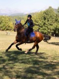DSC04735 DSC04735