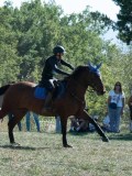 DSC_5974 DSC_5974