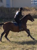 DSC05325 DSC05325
