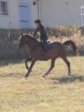 DSC05328 DSC05328