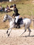 DSC03273 DSC03273