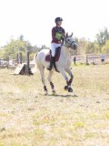 DSC04645 DSC04645