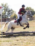 DSC04646 DSC04646