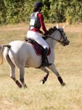 DSC04649 DSC04649