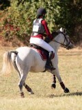 DSC04650 DSC04650