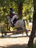 DSC04655 DSC04655