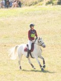 DSC06570 DSC06570
