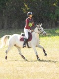 DSC06573 DSC06573