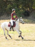DSC06574 DSC06574