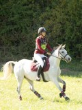 DSC06575 DSC06575