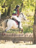 DSC06577 DSC06577