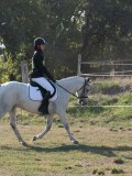 DSC_5512 DSC_5512
