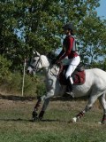 DSC_5909 DSC_5909