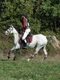 DSC_5910 DSC_5910