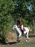 DSC_5915 DSC_5915