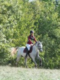 DSC_5917 DSC_5917