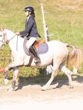 DSC02952 DSC02952