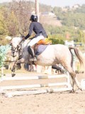 DSC02955 DSC02955