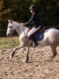 DSC02964 DSC02964