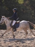 DSC02965 DSC02965