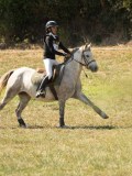 DSC06324 DSC06324