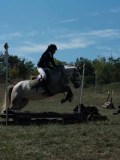DSC_5596 DSC_5596