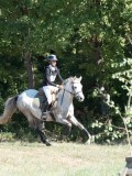 DSC_5604 DSC_5604