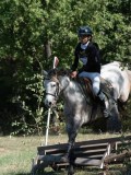 DSC_5606 DSC_5606