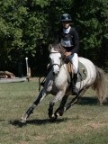 DSC_5607 DSC_5607