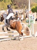 DSC02905 DSC02905