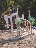 DSC02915 DSC02915