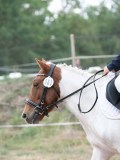 DSC_4750 DSC_4750