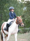 DSC_4767 DSC_4767