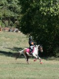 DSC_5718 DSC_5718