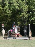 DSC_5719 DSC_5719