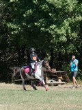 DSC_5720 DSC_5720