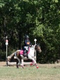DSC_5721 DSC_5721