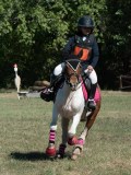 DSC_5726 DSC_5726