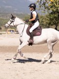 DSC04414 DSC04414