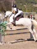 DSC04415 DSC04415