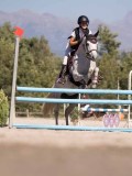 DSC04416 DSC04416