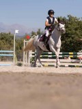 DSC04417 DSC04417