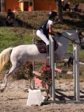 DSC04421 DSC04421