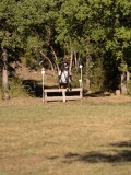 DSC05242