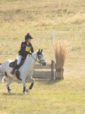 DSC06900 DSC06900