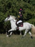 DSC_6175 DSC_6175