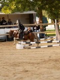 DSC07533
