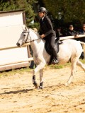 DSC08185 DSC08185