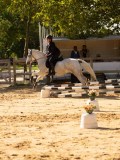 DSC08196 DSC08196