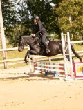 DSC08338 DSC08338